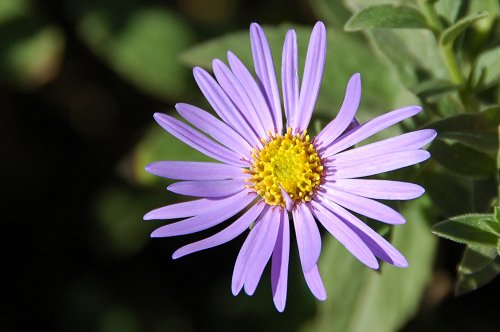 (00011) DSC_5828 1.jpg
